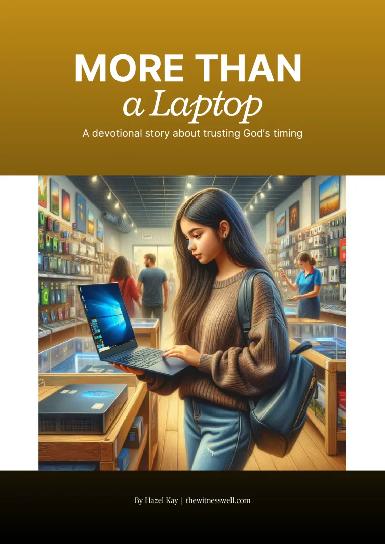 More than a Laptop cover